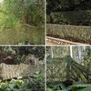 LOOGU Camo Netting, Camouflage Net Blinds Great for Sunshade Camping