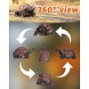 Sdeetesamjun Turtle Statue, Resin Garden Sculpture Indoor/Outdoor Yard Lawn Ornament,Home