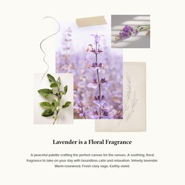 Thymes Home Fragrance Mist – Room Air Fresheners for Home Long Lasting – Air Freshener Spray – Scented Room Spray with Notes of Velvety Lavender, Rosewood, Clary Sage, & Earthy Violet (Lavender, 3 oz)