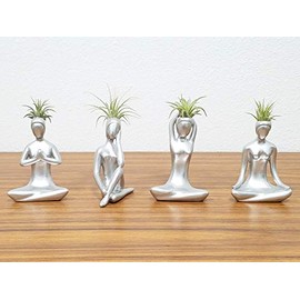 Silver Yoga Figurines with Live Air Plants (Tillandsia) - Low Maintenance and Easy to Grow Living Plants - Gift for All Ages - Pack of 4