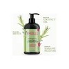 Kit Shampoo Acondicionador Y Aceite De Romero Mielle Organic