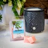 Tropical Paradise Scented Wax Melt - 2 Ounces - 6