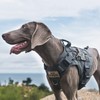 OneTigris Tactical Dog Training Vest No Pull Harness for Dogs,Adjustable