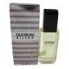 Antonio Puig QUORUM SILVER BY ANTONIO PUIG 3.4 OZ EDT