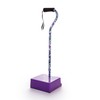 EZ-Step Stair Climbing Assist Cane – Stair Lift for Seniors,