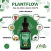 Clean Nutra Plantflow Moringa Drops with Ashwagandha Turmeric Ginger Spirulina