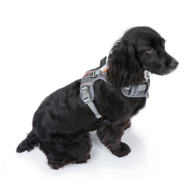 Pawfit Extra Large Dog Harness, No Pull Pet Vest Harness