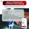Multi-Strain Gut Support Bacterium (30 Capsules) Soothes & Supports Gut,
