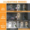 DASTOR Motion Sensor Outdoor Wall Lights 2 Pack, Dusk to
