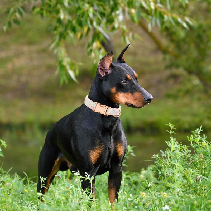 Metal Buckle Dog Collar, Durable Adjustable Dog Collar Soft for