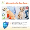 LovinPet Dog Recovery Bodysuit, Full Body Wound Protection for Large