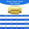 1 Inch Check Valve - PN25 Internal Thread Brass Backflow