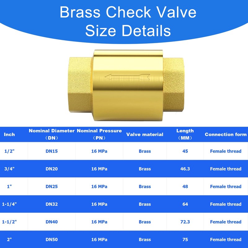1 Inch Check Valve - PN25 Internal Thread Brass Backflow