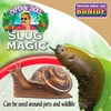 Bonide Captain Jack's Slug Magic Granules, 3 lbs. Snail &