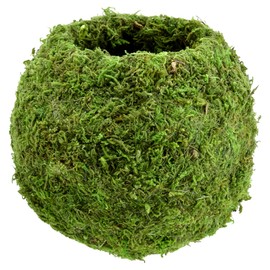 Arcadia Garden Products KO02 Kokedama-6.5 x 5.9”, Set of 2, Green