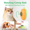 BluGun Cat Nip Ball for Kitty Nip Toys for Indoor