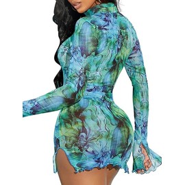 MeiliAcshion Women's Rave Dress Leopard Cheetah Sheer Mesh Dress for Women Green XL