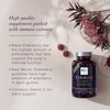 New Nordic Elderberry Gummies - Non-GMO, Sugar-Free Immune Support Supplement