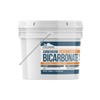 Ammonium Bicarbonate Powder (1 Gallon Bucket, 8 lb) by Earthborn