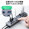 Sanwa Direct 400-HUBA23GM USB Hub, 10 Ports, Self-Powered USB Charger