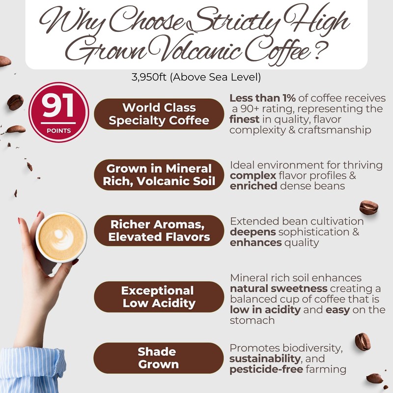 Specialty Volcanic Nicaraguan - Café Crema Espresso Roast Coffee -