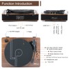 LP&No.1 Record Player with Stereo Speakers, 3-Speed Belt-Drive Turntable for