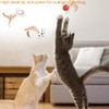 3 Pcs Cat Toy Ball Indoor Entertainment for Interactive Feather