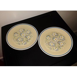 Lenox Dewdrops Temperware Bread & Butter Plate