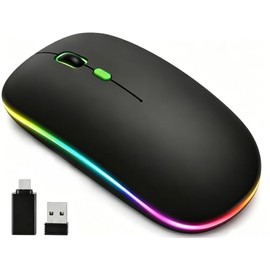 JUGLUTE Mouse Inalámbrico, 2.4GHz y Bluetooth, Adaptador Tipo-C                                                                                       