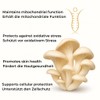 Disanvita OysterBoost Organic Oyster Mushrooms with High Natural Ergothionein Content