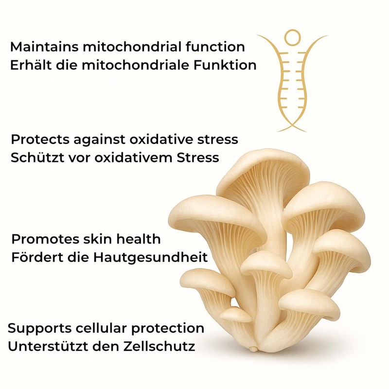 Disanvita OysterBoost Organic Oyster Mushrooms with High Natural Ergothionein Content
