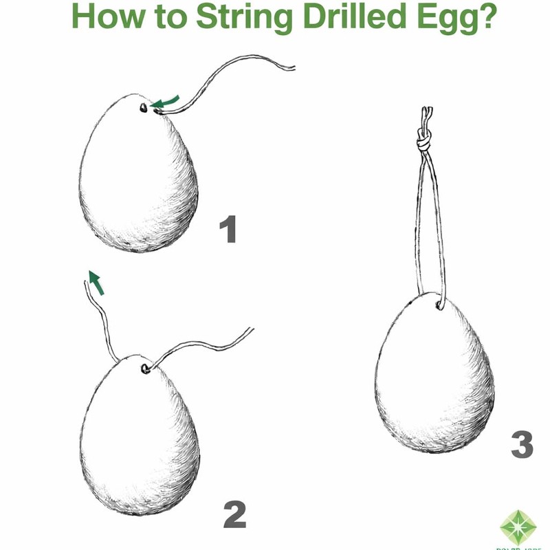 2-Piece Drilled Nephrite Jade Stone Egg Set – Medium &