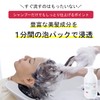 EARTHEART Hair Quality Improvement Damage Care Silk One Charge Shampoo