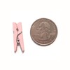 LWR CRAFTS Wooden Mini Clothespins 15 Colors 100 Per Pack