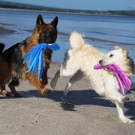 HFZRZFH 2-Pack Squeaky and Crinkly Octopus Plush Dog Toys - No Stuffing, Durable, Interactive Chew Toys for Teething Puppies and Small, Medium, Large Dogs (Purple+Blue)