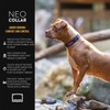 EzyDog Neo Dog Collar - Waterproof & Reflective Dog Collar