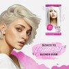 Punky Colour Lightning Fast 40 Vol Bleach Kit