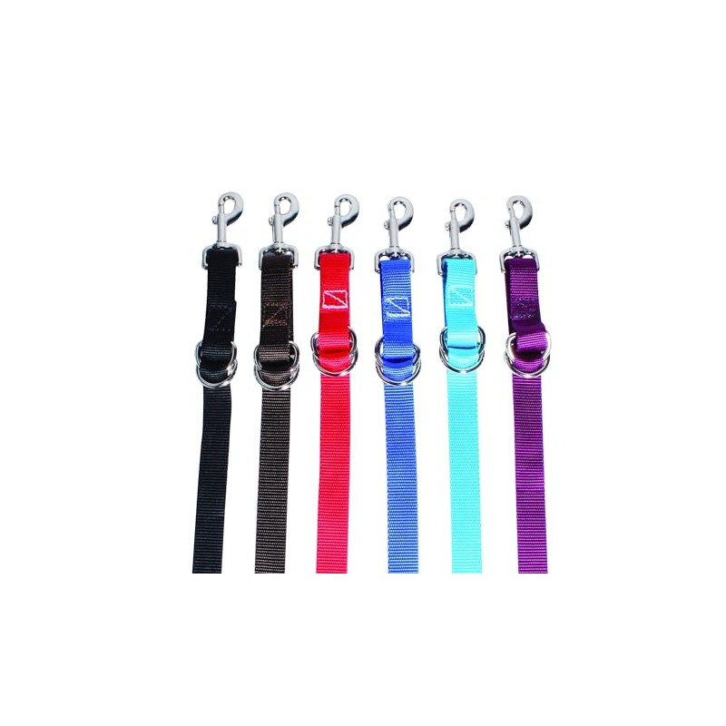 Professional's Choice 8057BLA 1in Purple Nylon Tie Down Strap