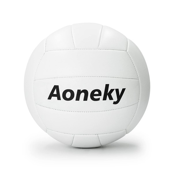 (アワンキー) Aoneky バレーボール ソフト 室内 屋外兼用 初心者 トレーニング