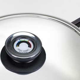 OPPAHA Visiotherm Thermo Control Pot Lid - Handle Compatible with Various Makes and Models - Brass Thread 5mm Anti-scald - Pack of 1