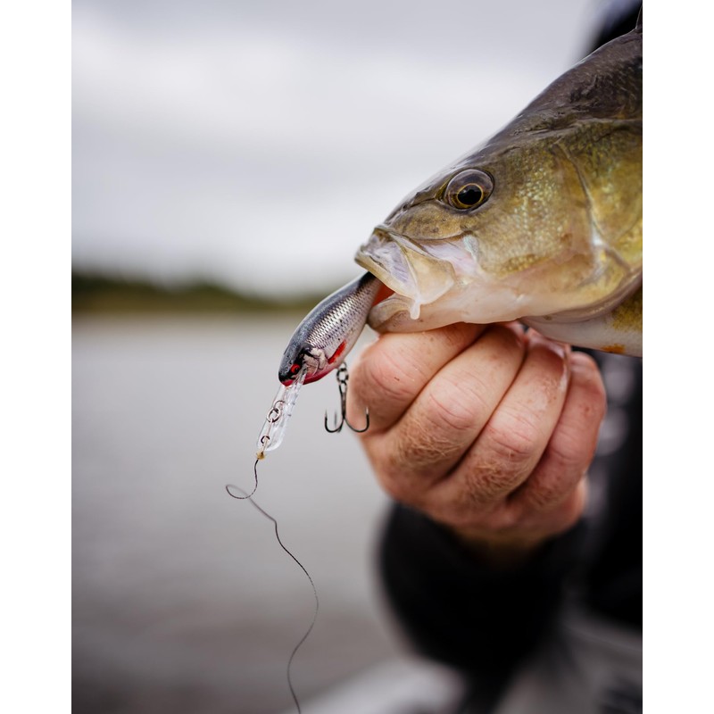 Rapala, Angelköder Shad Rap Elite, Angelausrüstung mit Balsa-Konstruktion (ohne Blei,