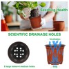 Augshy Augshy 40 Pcs 6" Plastic Plant Nursery Seed Starting