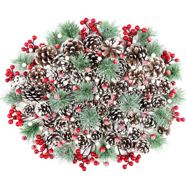 200 Pcs Christmas Pine Cones Red Berries Pine Branch Set