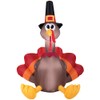 Home Accents 5-ft LED Turkey Airblown Inflatable