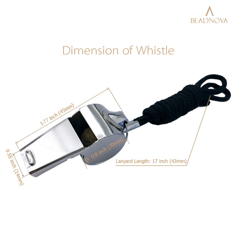 BEADNOVA Stainless Steel Whistles with Lanyard Lifeguard Whistle Referee Whistle