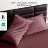 THXSILK Silk Pillowcase 22 Momme 100% Pure Mulberry Natural Soft