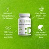 DEAL SUPPLEMENT Ginkgo Biloba 500mg Per Serving, 240 Capsules, 4