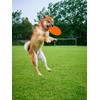 DOGCOME 3 Pack Soft Rubber Dog Flying Discs for Small