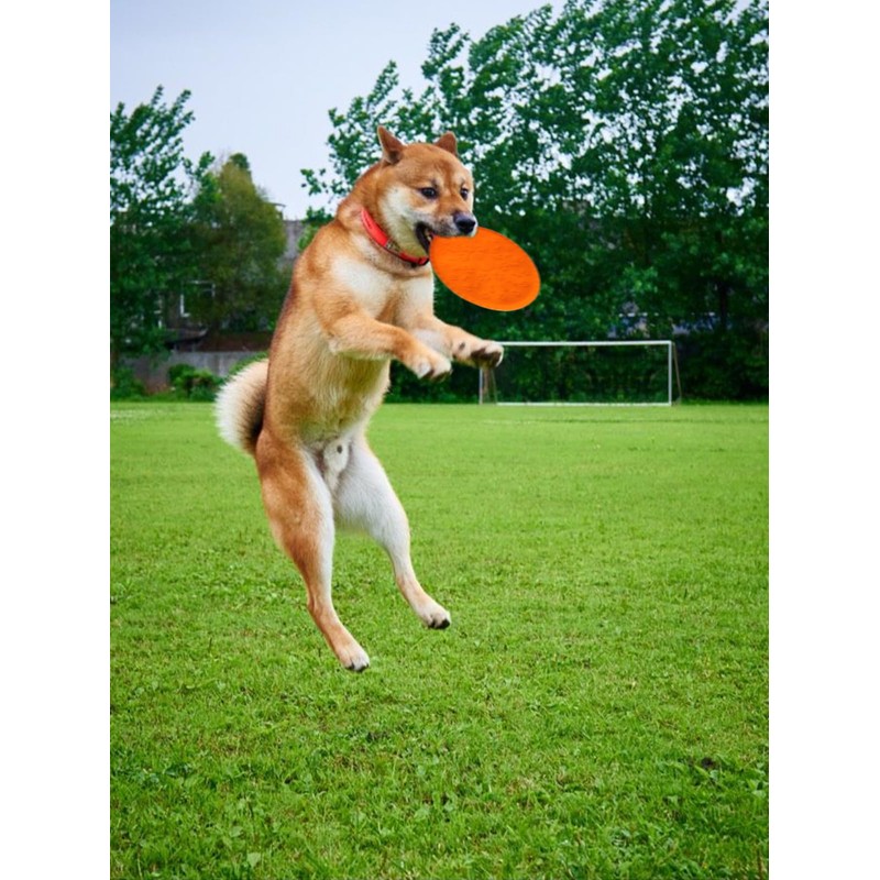 DOGCOME 3 Pack Soft Rubber Dog Flying Discs for Small