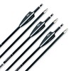 BOWSOUL 31Inch Carbon Arrows for Target Practice Hunting Arrow with